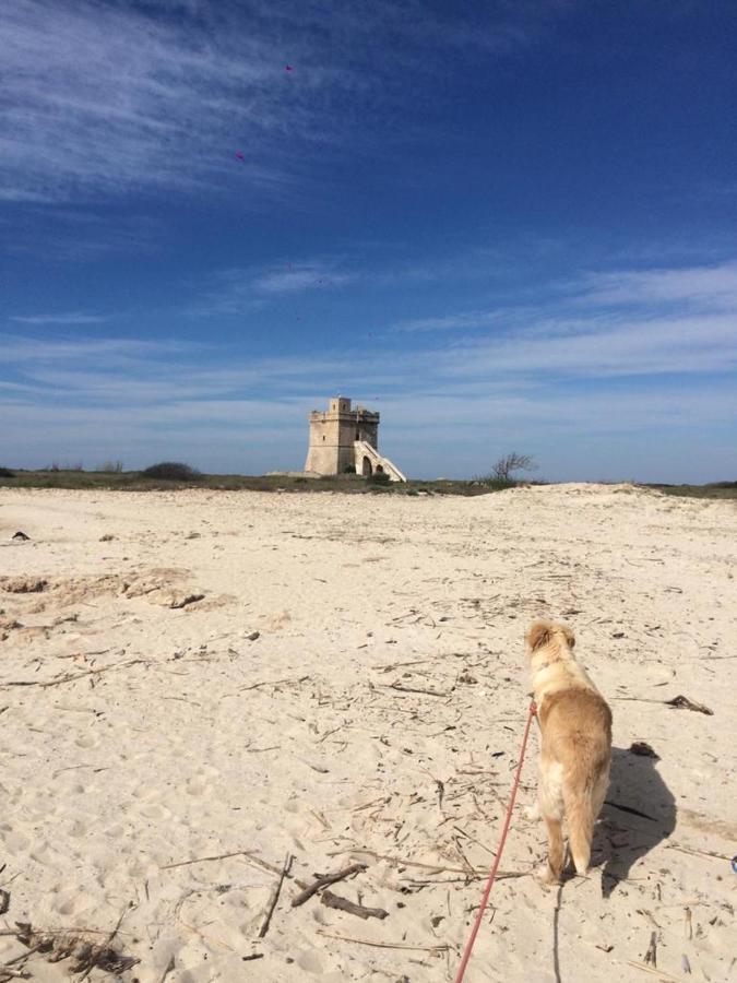 Villa Domenica Torre Squillace Εξωτερικό φωτογραφία